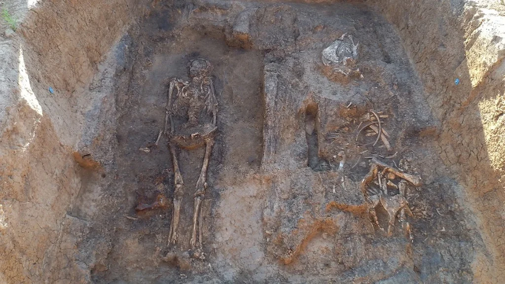 Tombe de Gnezdilovo : un aristocrate du Xe siècle refait surface avec cheval, chien et hache de combat