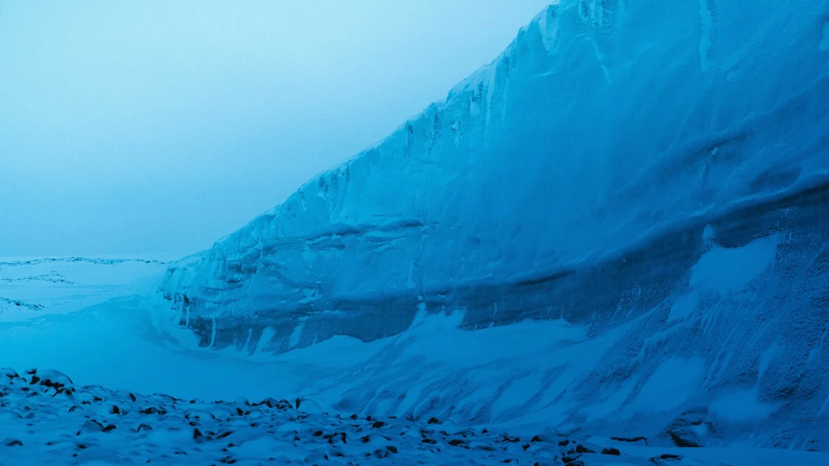 Nids de poissons Antarctique : comment un robot a révélé 1 000 nurseries sous la glace de Weddell