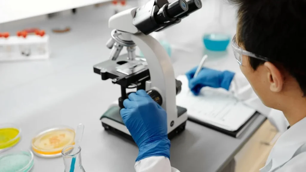 Organoïdes Cérébraux : Comment Harvard a Gardé des Mini-Cerveaux en Vie 5 Ans