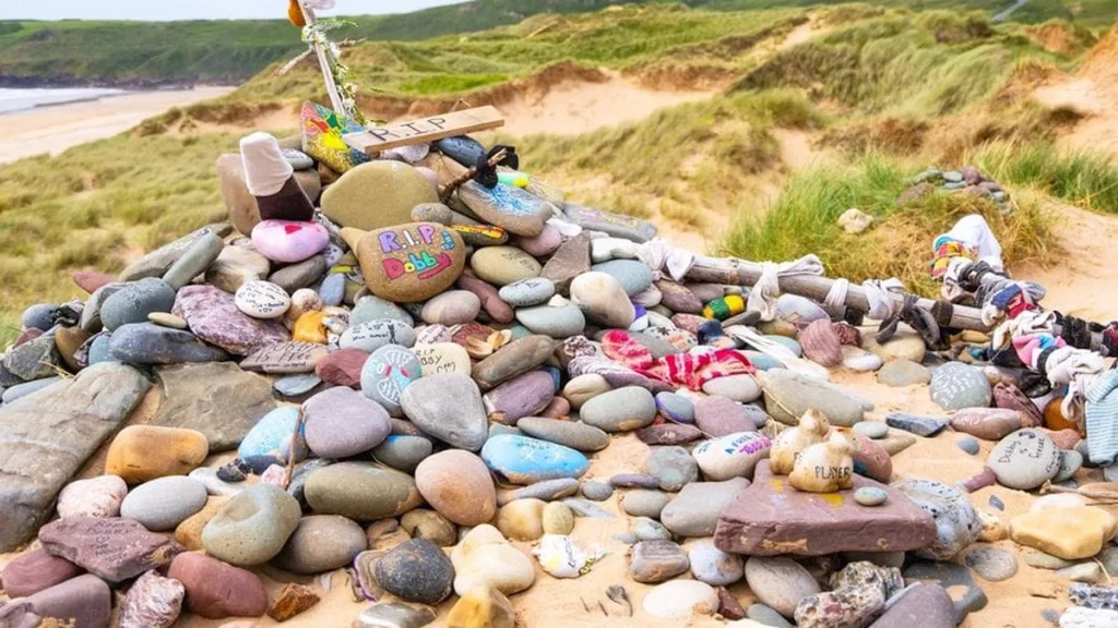 Tombe de Dobby : comment des fans d&rsquo;Harry Potter ont fait dévier un câble sous-marin
